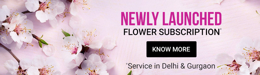 Online Flowers Delivery | Fresh Flowers @399 | Online Florist - Ferns N
